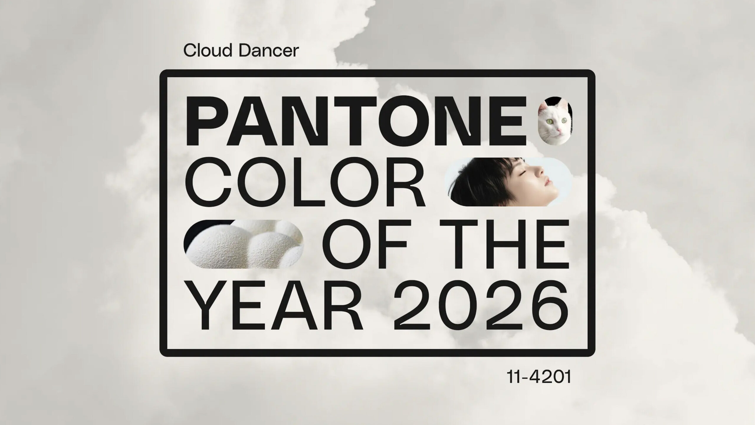 Home 5 2026 pantone colour scaled