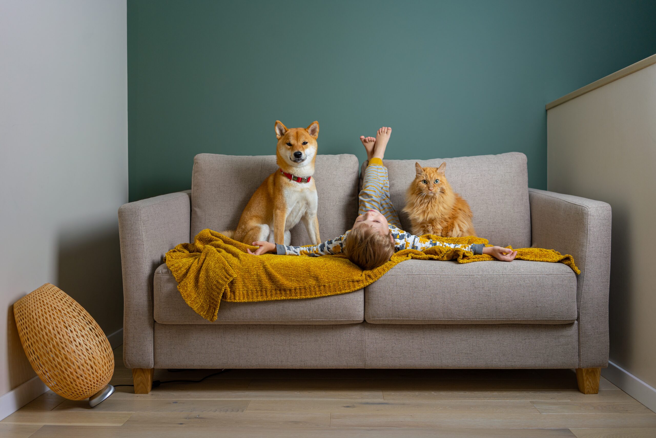 Home 6 pet proof your home scaled